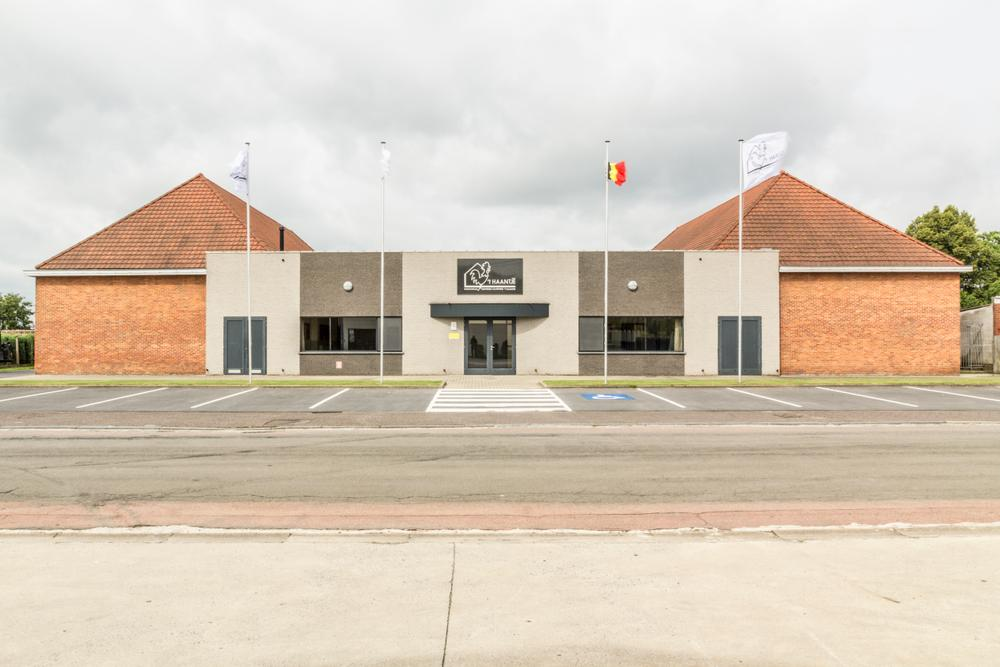 't Haantje